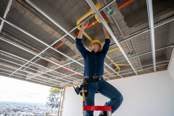 Best Water Leak Repair  in Larimore, ND