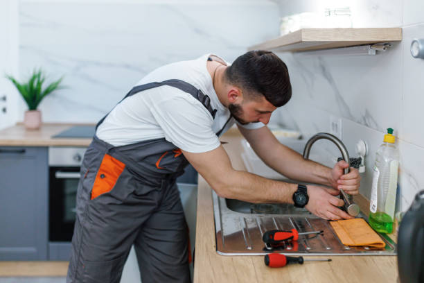 Best Affordable Plumbing Services  in Larimore, ND