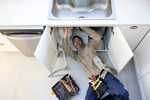 Best Affordable Plumber Near Me  in Larimore, ND