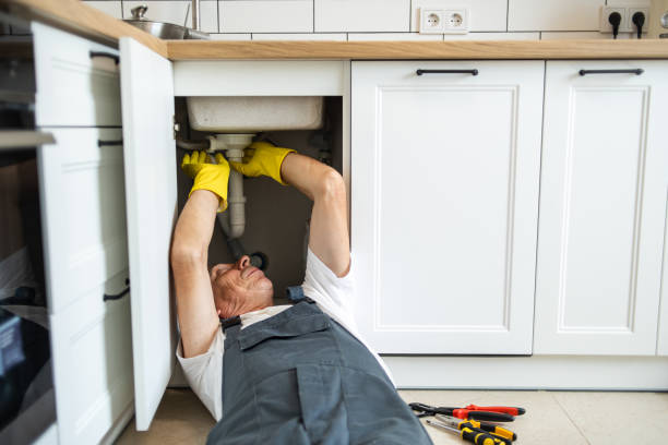 Professional Plumbing in Larimore, ND