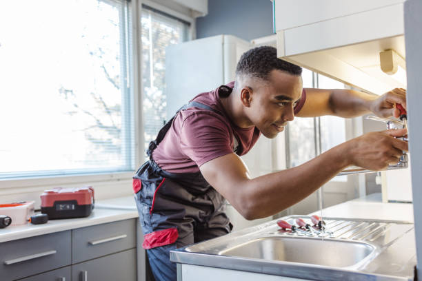 Best Residential Plumbing Services  in Larimore, ND